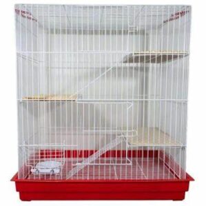 Moradia Rock Chinchila