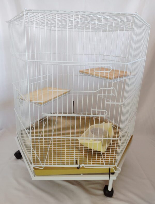 Gaiola Exa Roe Roe