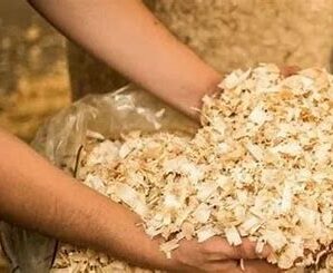 Serragem Prensada 800g